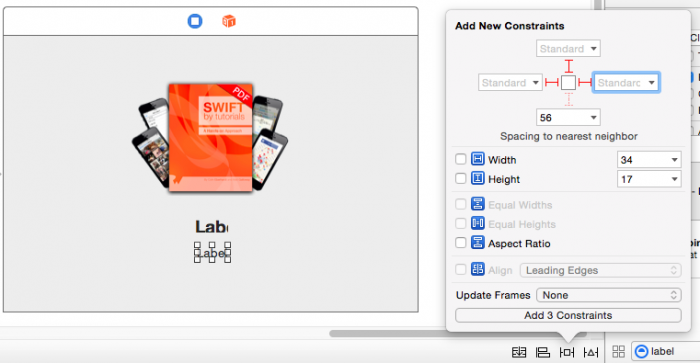 detail-bottom-label-constraint