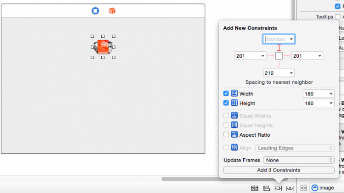 detail-imageview-pin-constraints