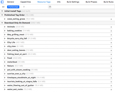 ResourceTagTablePrefetched