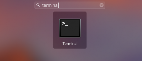 Find Terminal in Launchpad