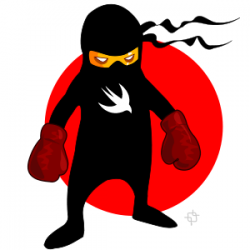 Are you a Swift Ninja?