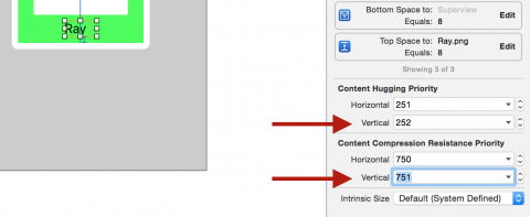 auto layout tutorial