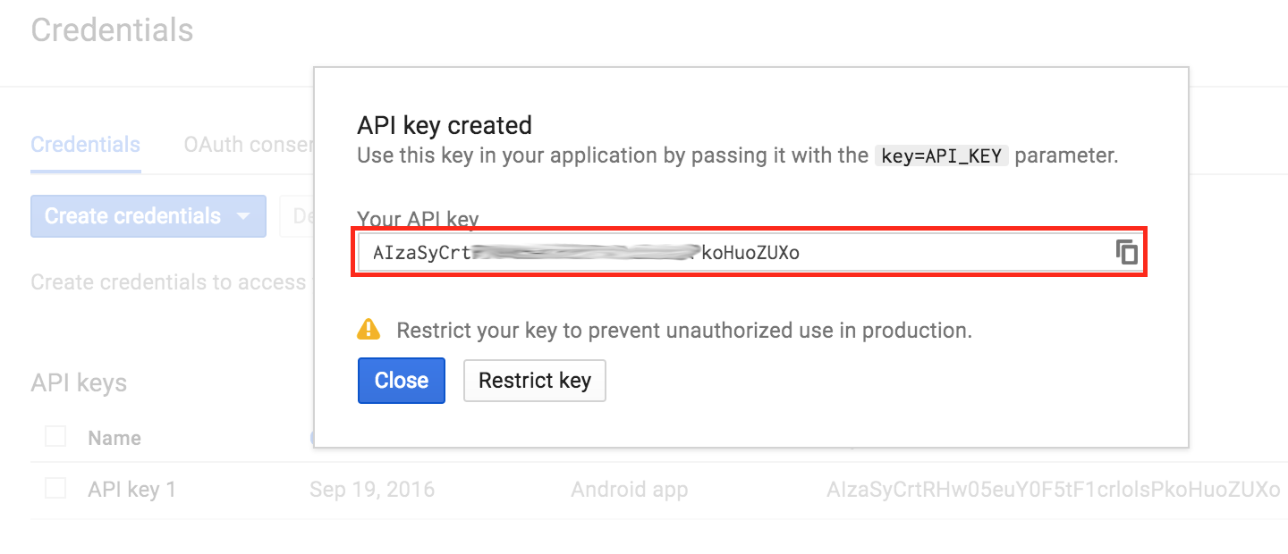 When that’s done, copy the API key shown in the API key created dialog and click <FontIcon icon="iconfont icon-select"/>.