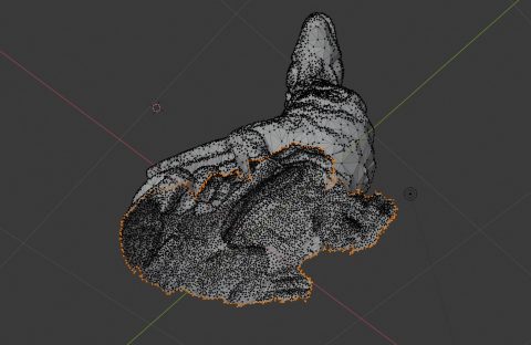 bottom edge of vertices selected